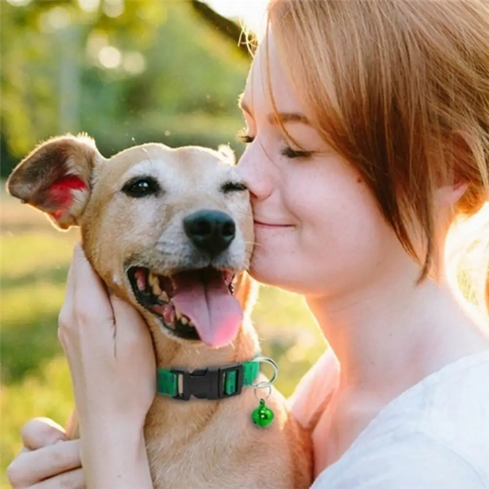 Dog Collar Nylon Adjustable Kill Insect Mosquitoes Insecticidal Anti Flea Mite Tick Pet Supplies