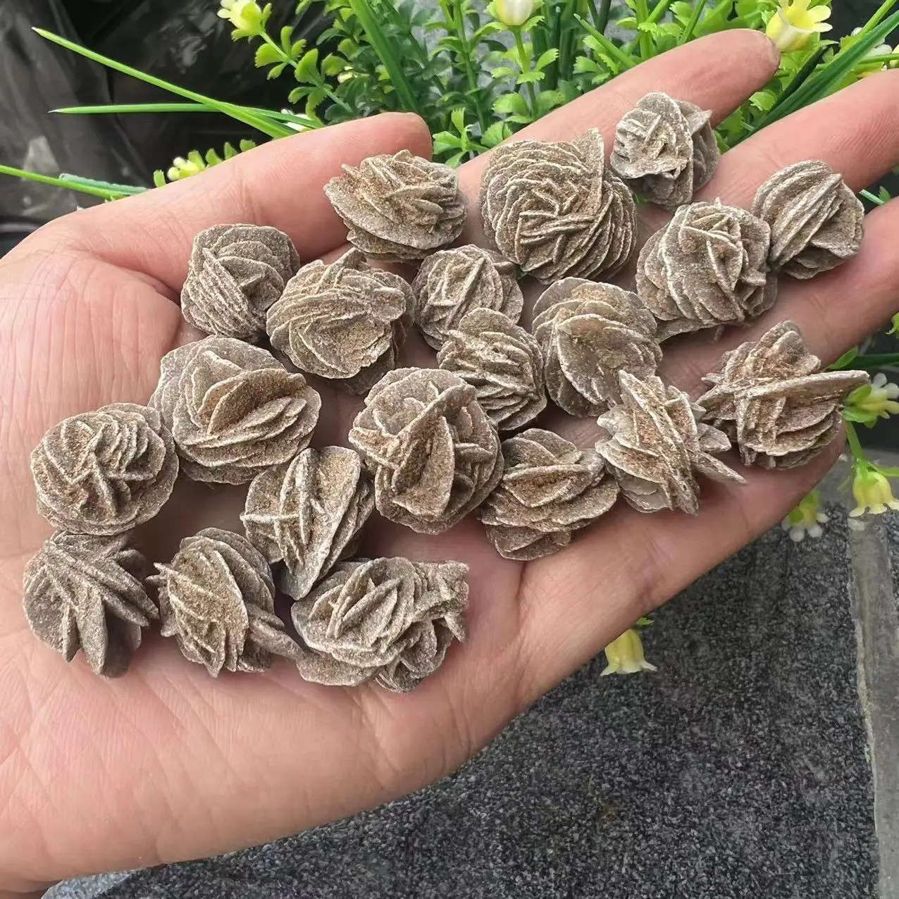 20 Pz Cristallo Naturale Deserto Rosa Campione Grezzo Pietra Di Quarzo Pietra Curativa Di Alta Qualità Minerali Reiki Bellezza Decorazione Della Casa