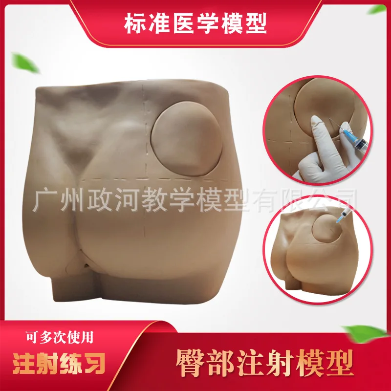 

Buttock Injection Practice Model Intramuscular Injection Training Buttock Injection Exercise Medical Teaching Model Mold