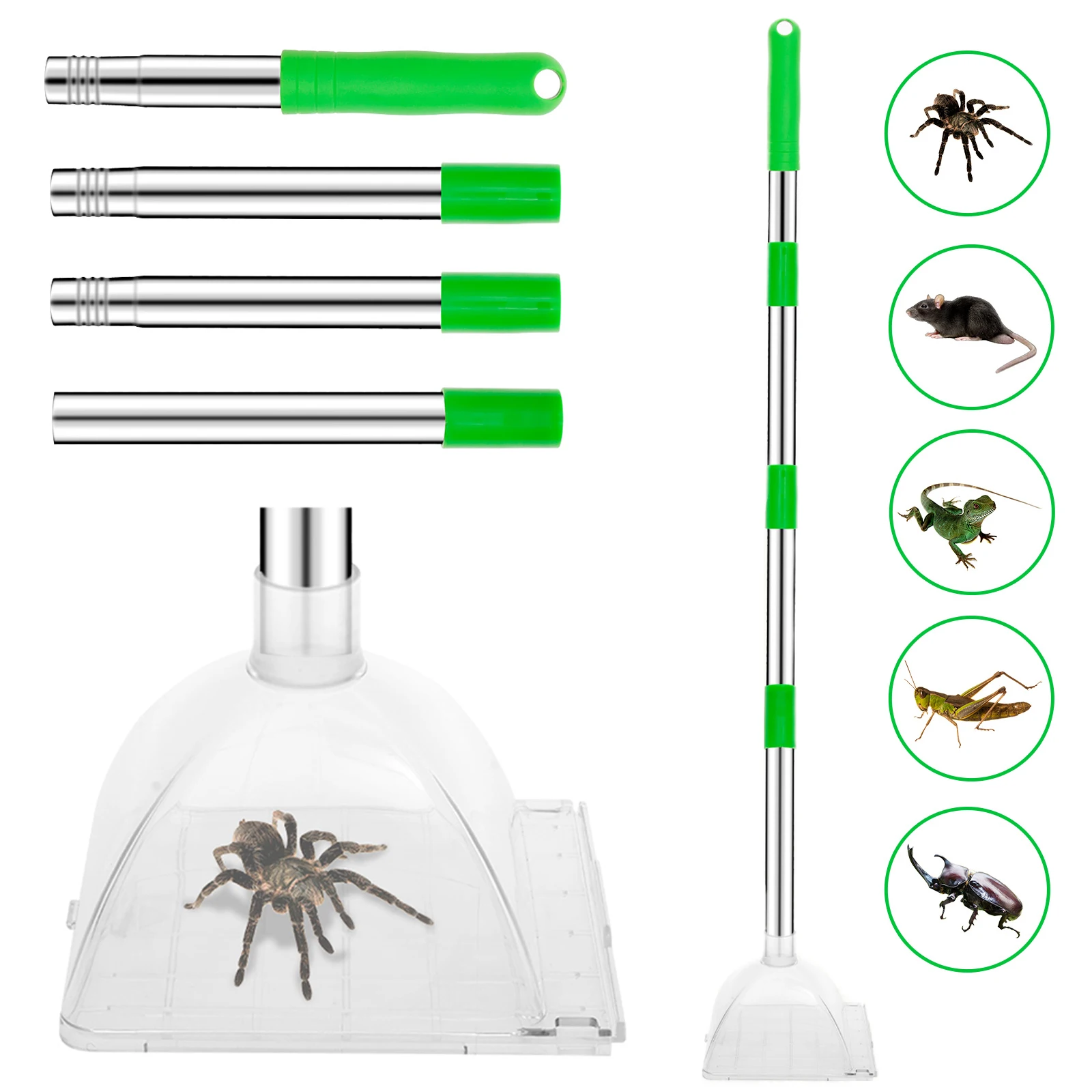 Stainless Steel Pest Catcher Net Tool for Indoor Outdoor Use