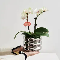 Simple Ceramic Flowerpot Office Desktop Green Plant Flowerpot Wind Silver Small Vase Flower Arrangement Decor Desktop Ornament 1