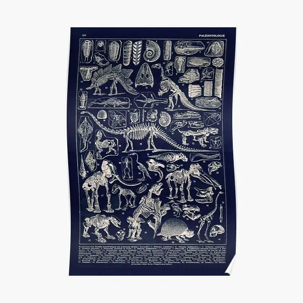

Adolphe Millot Paleontologie Paleonto Poster Mural Room Wall Decoration Picture Vintage Funny Print Painting Decor Art No Frame