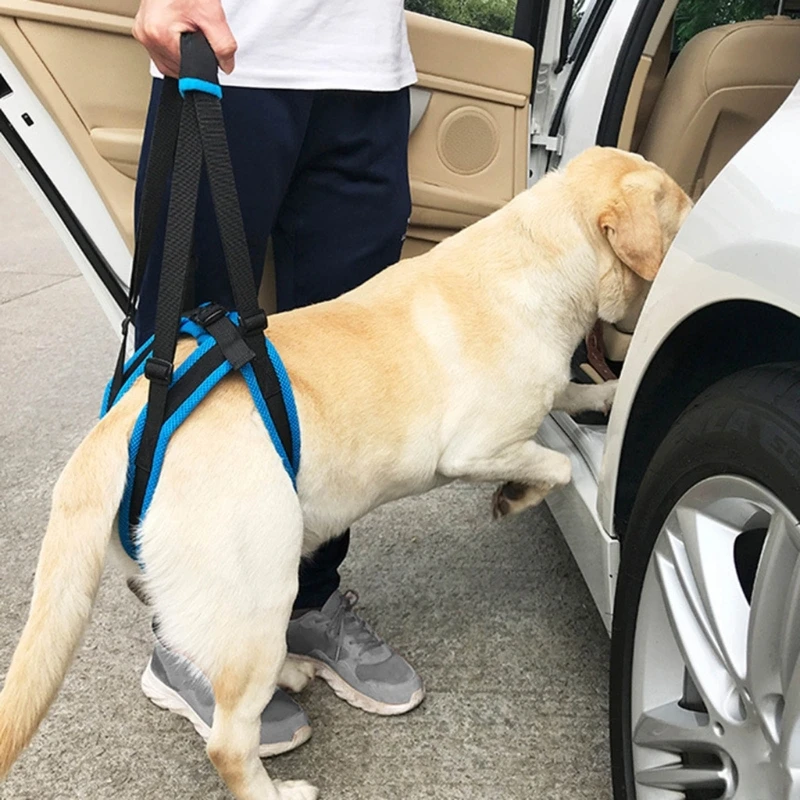 Dog Leg Support Harnesses Comfortable Adjustable Suitable for Elderly or Disabled Dogs Reliefs Injury Prevention