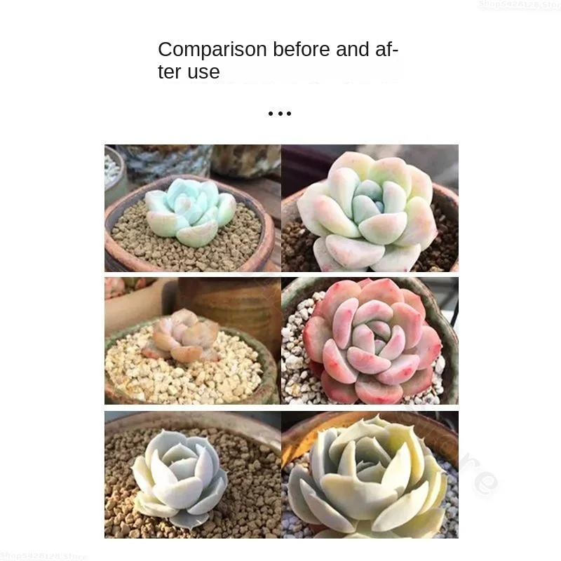 Рисунок 2 - Питательный раствор для суккулентов