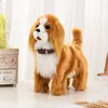 New Simulation Electric Pet Dog Voice Control Walking Nodding Music Touch Robot Animal Plush Pet Children's Toy Gift 4