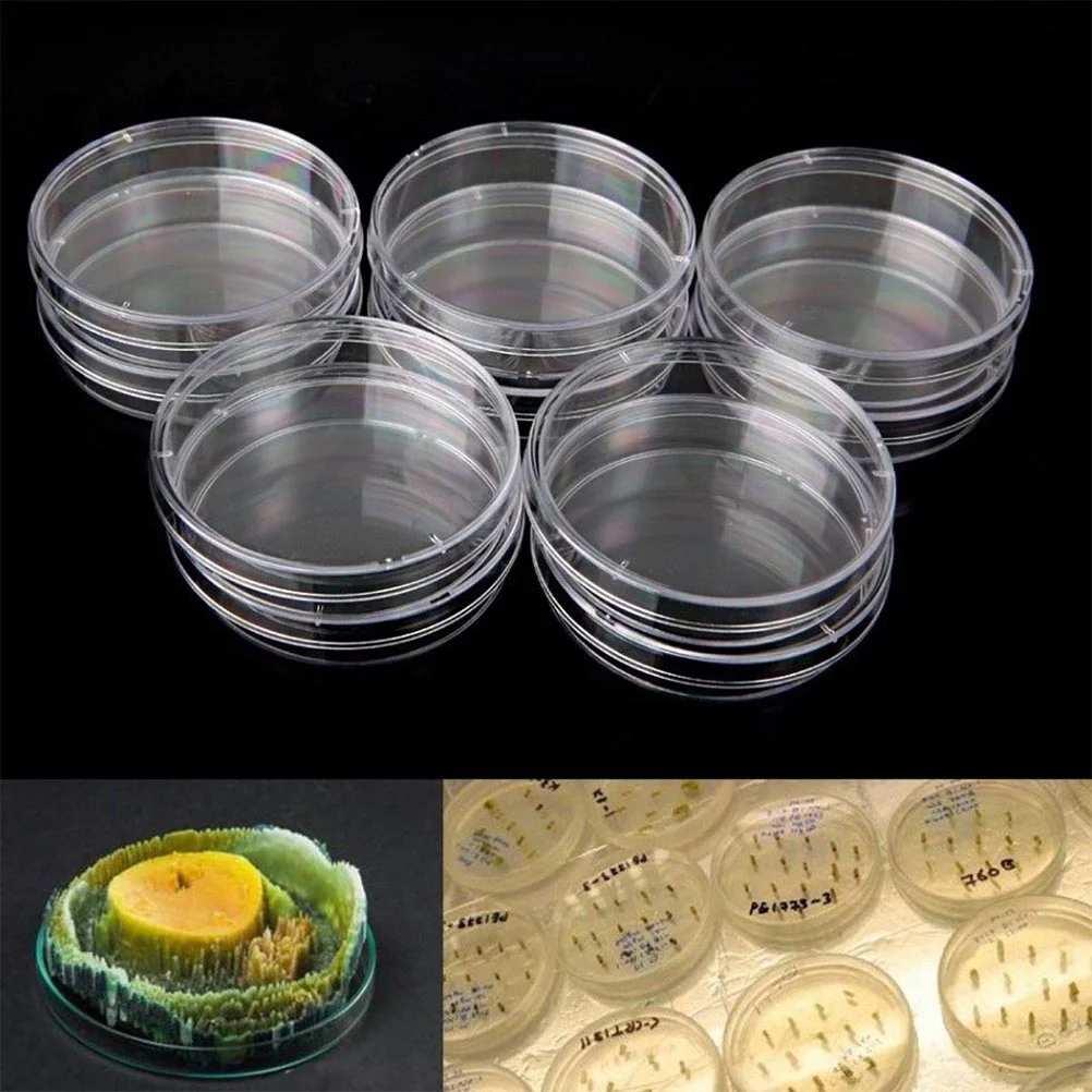 20 PCS 60mm Plastic Petri Dishes Bacterial Culture Dishes with Lids