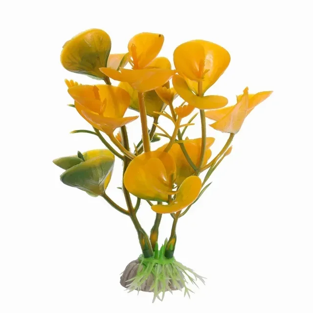 Image 28