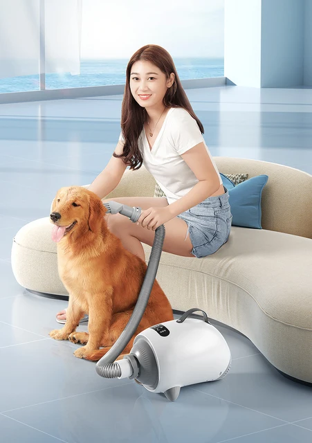 Soplador Secador De Pelo Peluqueria Canina Secador De Pelo Para