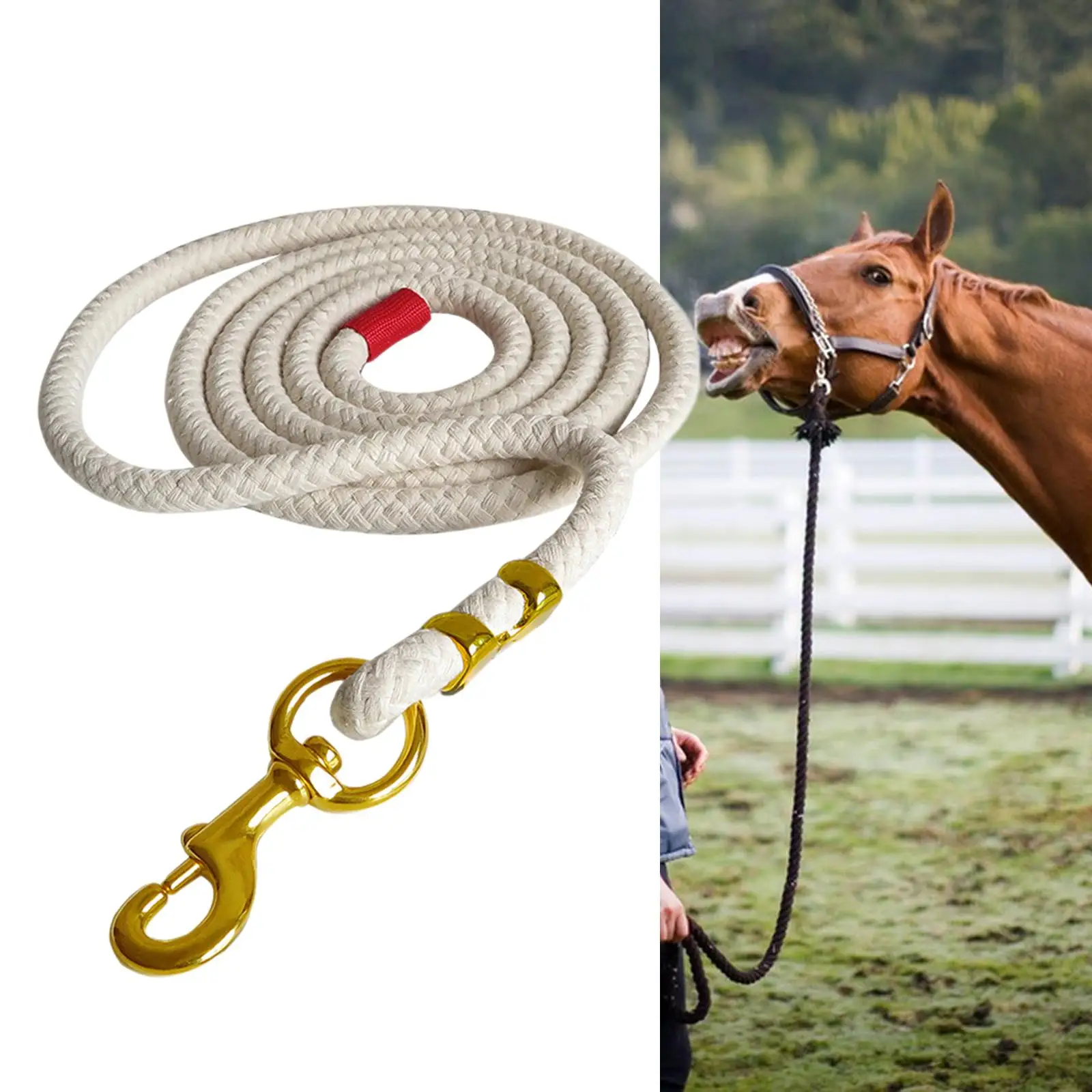 Horse Lead Rope Horse Leash Rope Heavy Duty for Leading Training Horse, Dog, or Sheep with A Solid Brass Snap Braided Lunge Line