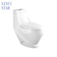 Cuvette de toilette monobloc de luxe dorée électroplaquée pour hôtel 6