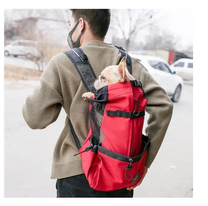 Sac à dos de voyage chic pour chien : tous les tailles