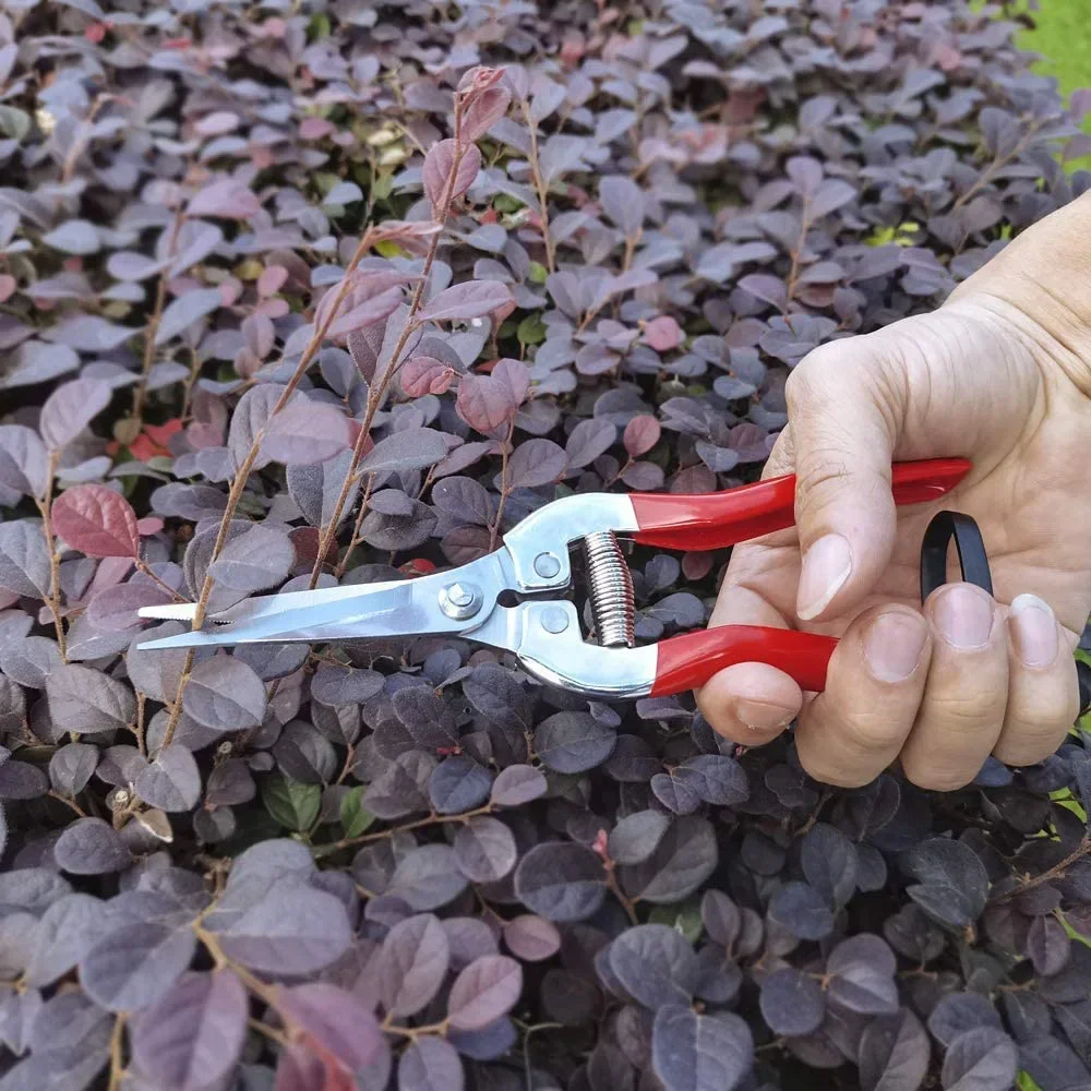 Gardening Hand Pruner Garden Scissors Pruning Shears Micro-Tip Pruning Snips Leaf Trimmer Straight Florist Scissor For Plants