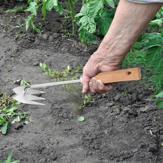 Gyomnövényes Műalkotás Szerszám Kettős Célú 4 Fogak Pitypang Húzó Szerszámpapor Gyomhúzó - Image 4