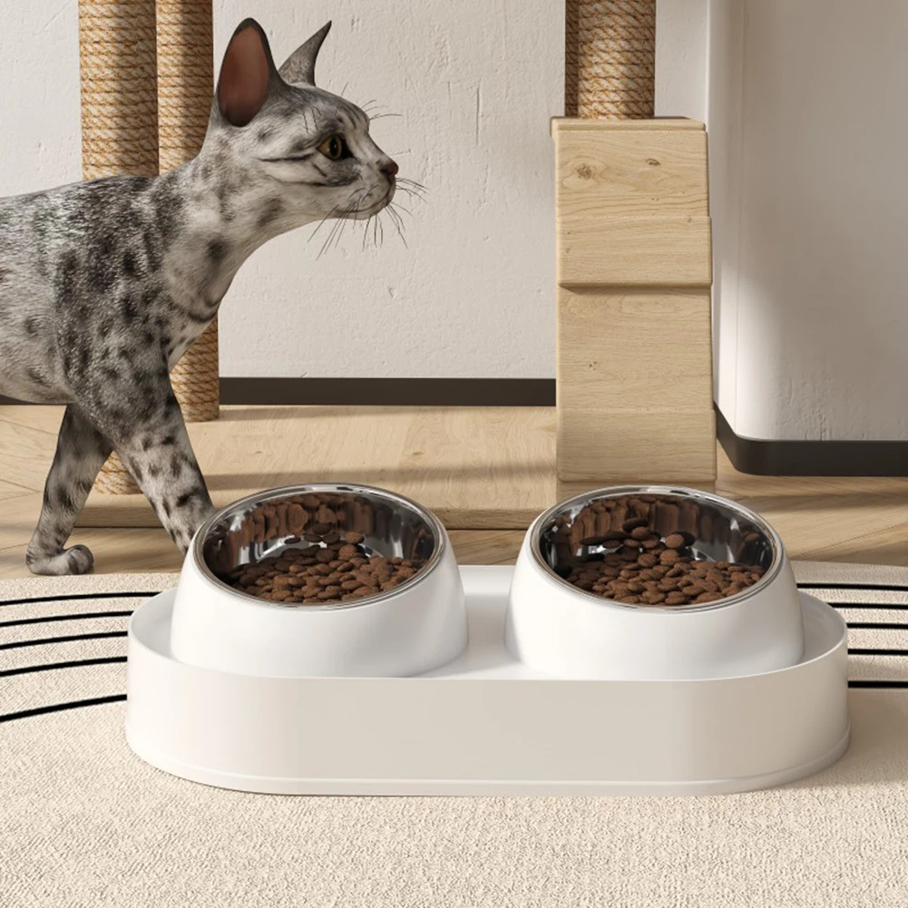

Elevated Cat Bowls 10° Tilted Anti-Overturning Neck Protection Anti Vomiting Stainless Steel Double Dog Bowl Pet Feeding Station