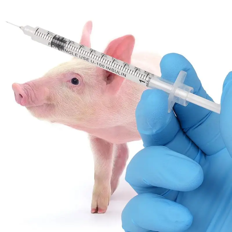 Disposable Plastic Veterinary Syringe with Needles For Pet Farm Animal Cat Dog Pig Cattle Sheep Horses Chicken Syringe 10/20Pcs