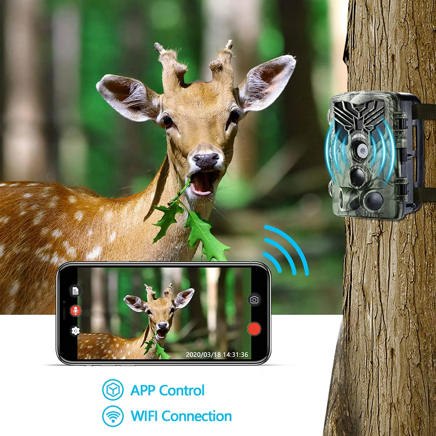 Live Show Trail Camera Wifi APP Bluetooth Control Live Stream Hunting Cameras WiFi830 24MP 1296P Night Vision Photo Traps hunting trail camera trail camera