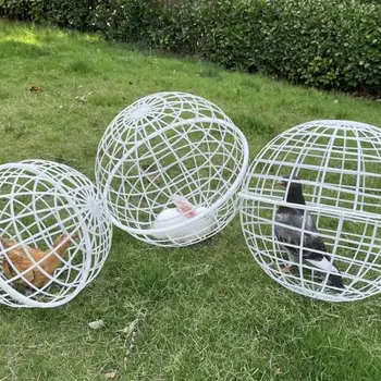 Chicken Rolling Safety Cage 1