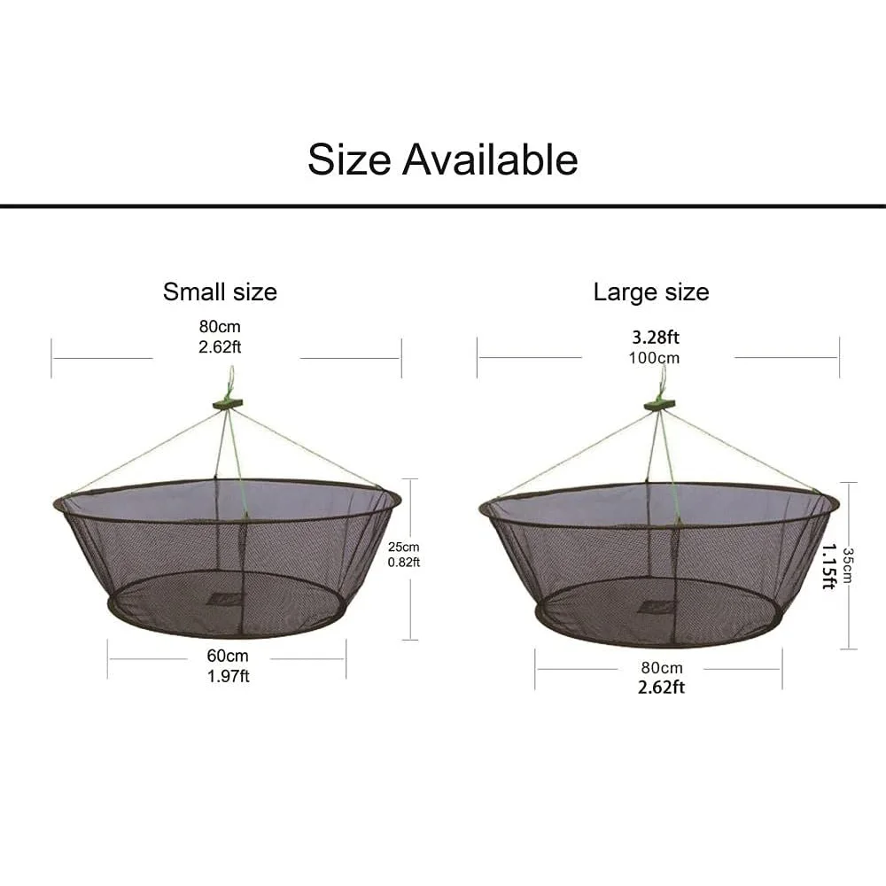 EASY BIG Foldable Bait Trap Fishing Net - Hand Cast Cage for Catching Fish  Shrimp Crab Crawfish : : Sports & Outdoors