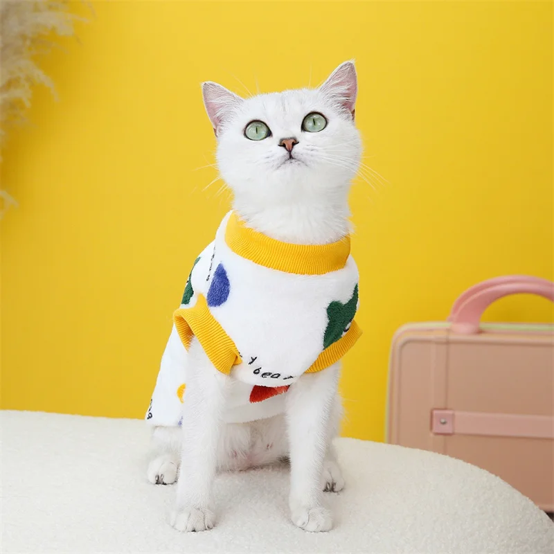 persian cat sweater