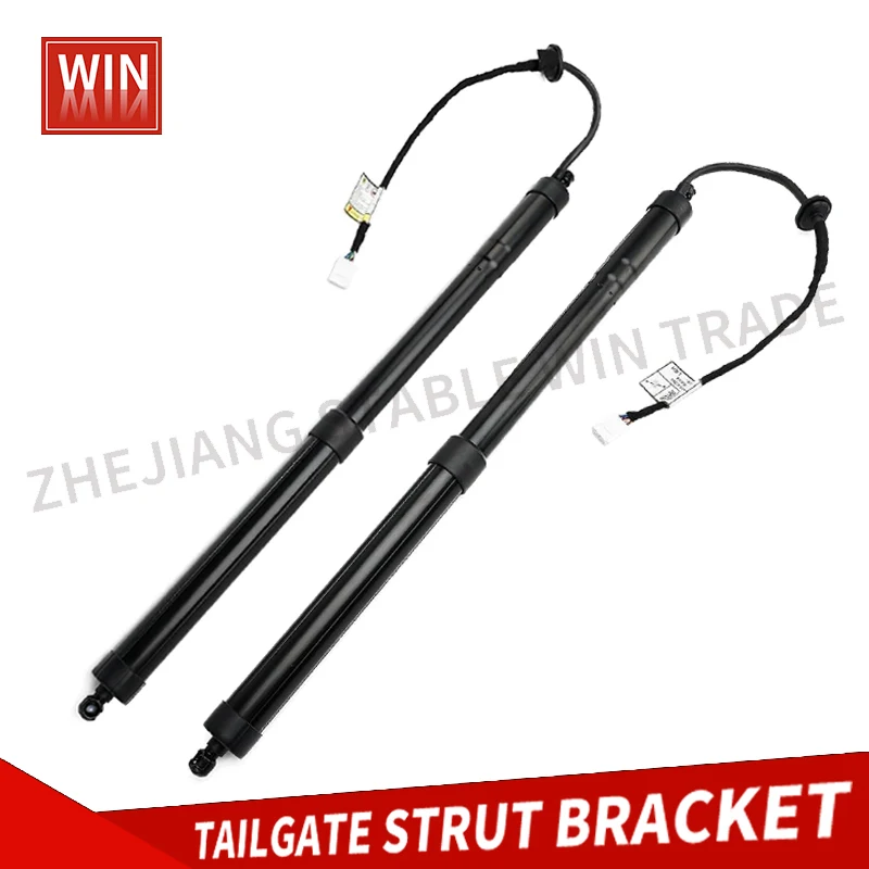 Ammortizzatori A Gas Per Portellone Toyota RAV4 2013-2018 - Compatibile Con Modelli LE, Limited, XLE - Foto 6