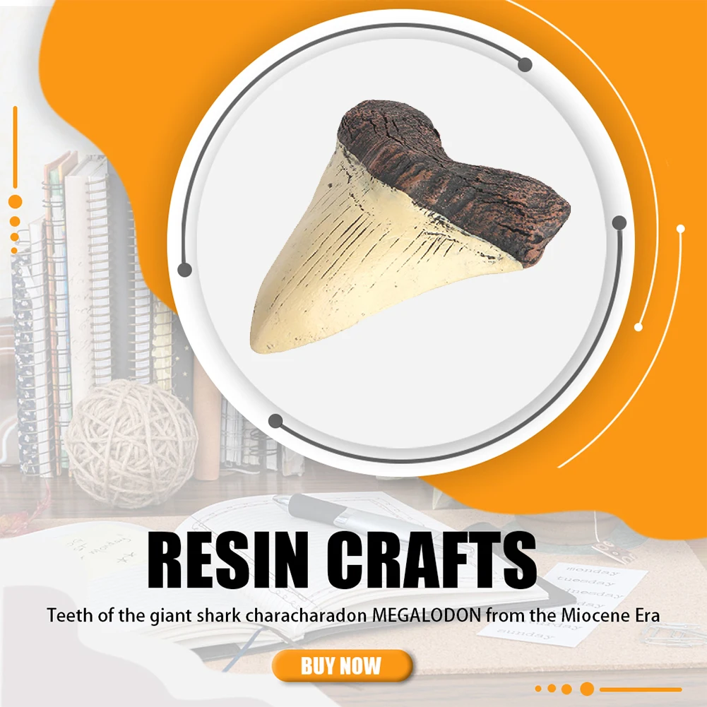 Home Decoration Resin Shark Teeth 5inch Giant Megalodon Tooth Marine Bology Teaching Props Beige Shark Teeth Fossil Best Gifts 2