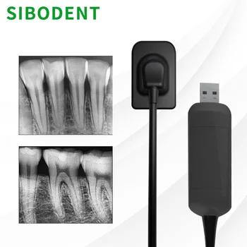 SIBODENT Sensore dentale Raggio X Sistema digitale intraorale digitale Rx ad alta frequenza Immagine HD Sensore dentale RAY X Strumenti per odontoiatria