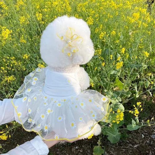 강아지 반려동물 멜빵 스커트, 강아지 옷, 고양이 작은 프린트, 귀여운 메쉬 개 드레스, 반려동물 의류, 여름 딸기 드레스 3