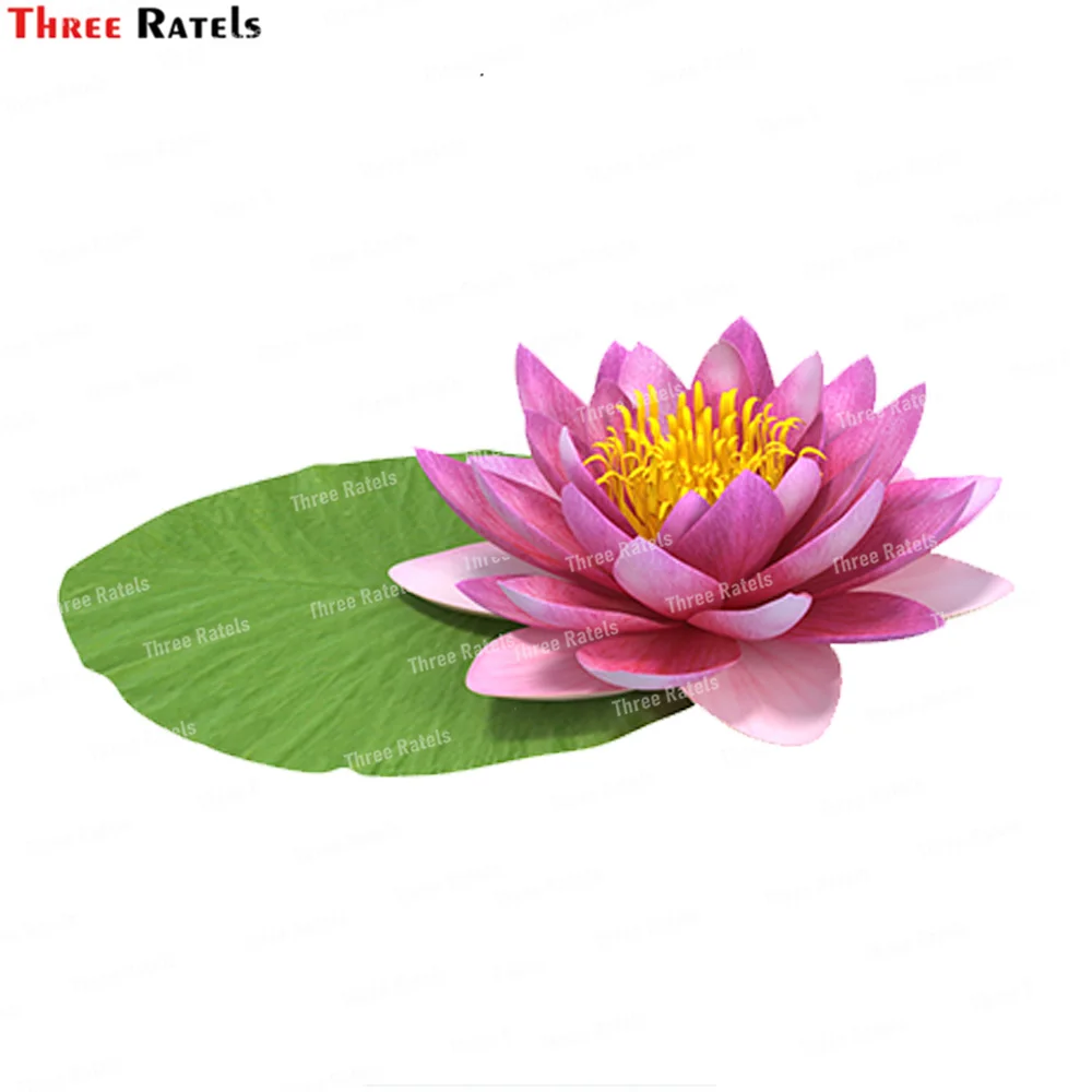 

Three Ratels K555 Nymphaea Siam Purple With Leave Wall Stickers Home Decor Living Room Sofa Decoration self-adhesive Decals