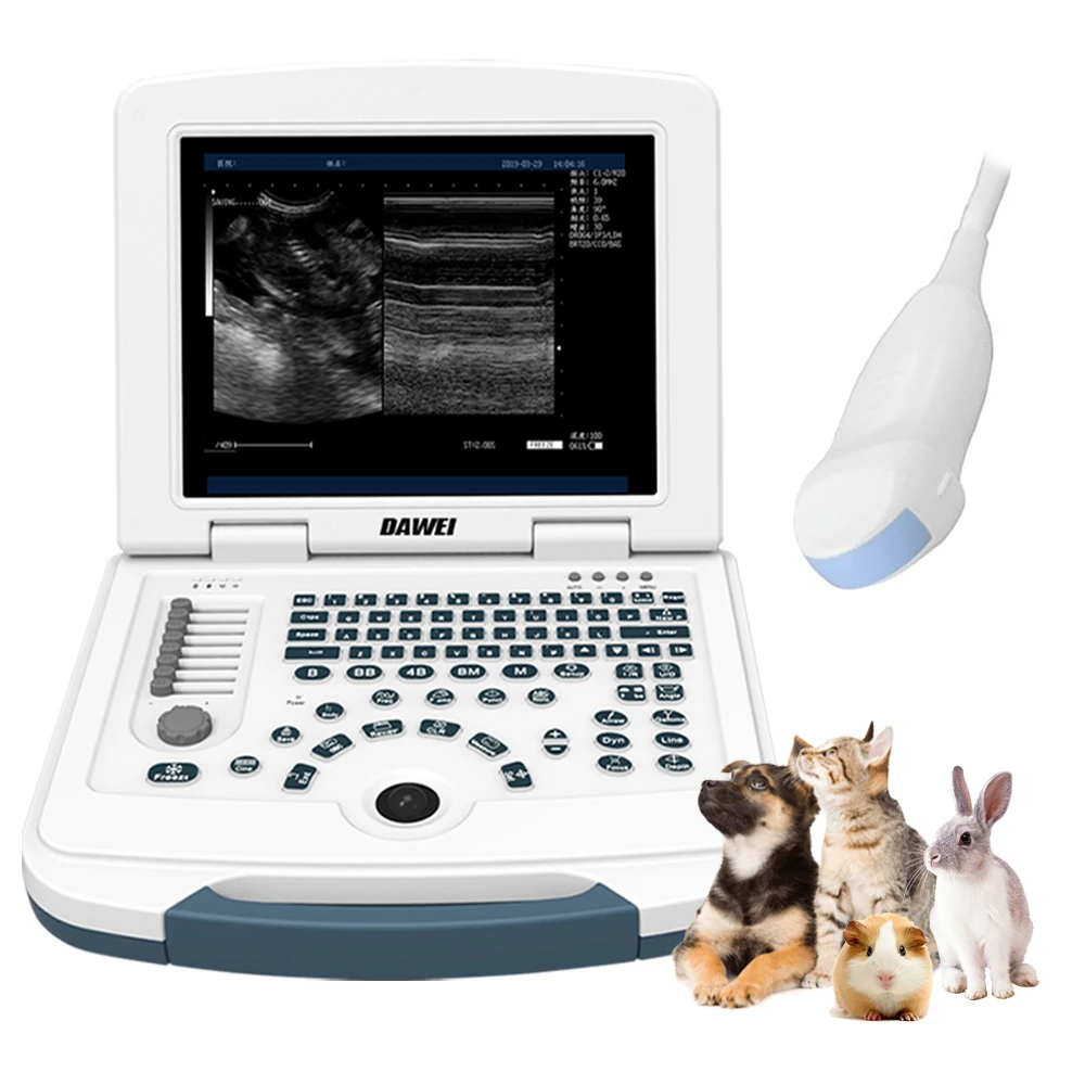 

Portable Veterinary B Ultrasound Machine Vet Laptop Scanner with 6.5MHz Micro-Convex Probe for Dog Cat Rabbits Pet Pregnancy
