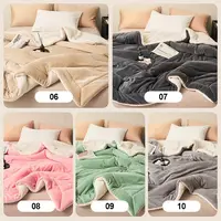 Double Layer Thickened Lamb Plush Blanket Plush Fleece Plaids for Bed Sofa Warm Mantas Throw Blankets Bedspread 6