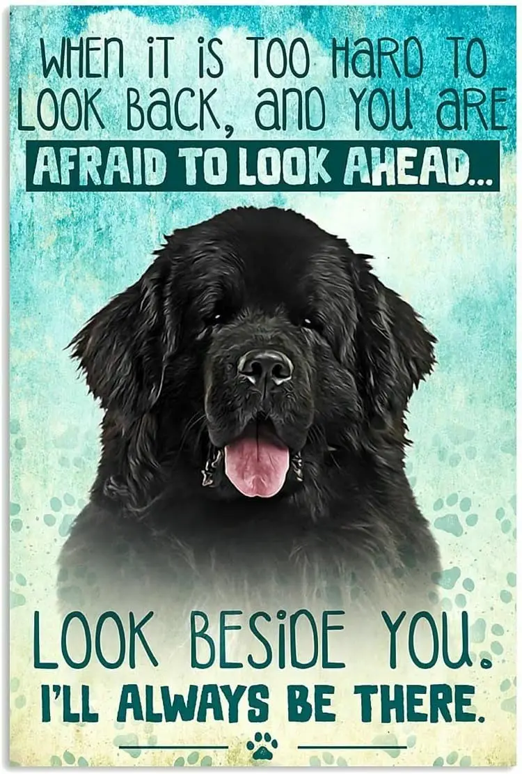 vintage-newfoundland-dog-metal-sign-for-home-and-wall-decor