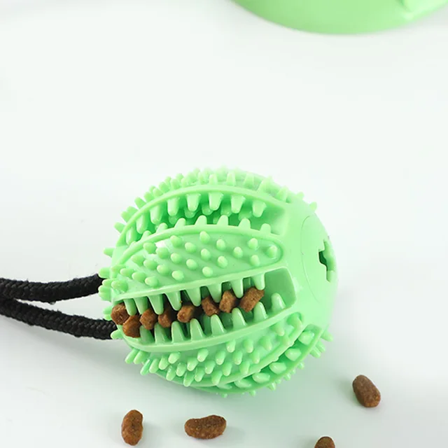Interactive Suction Cup Dog Toy 4
