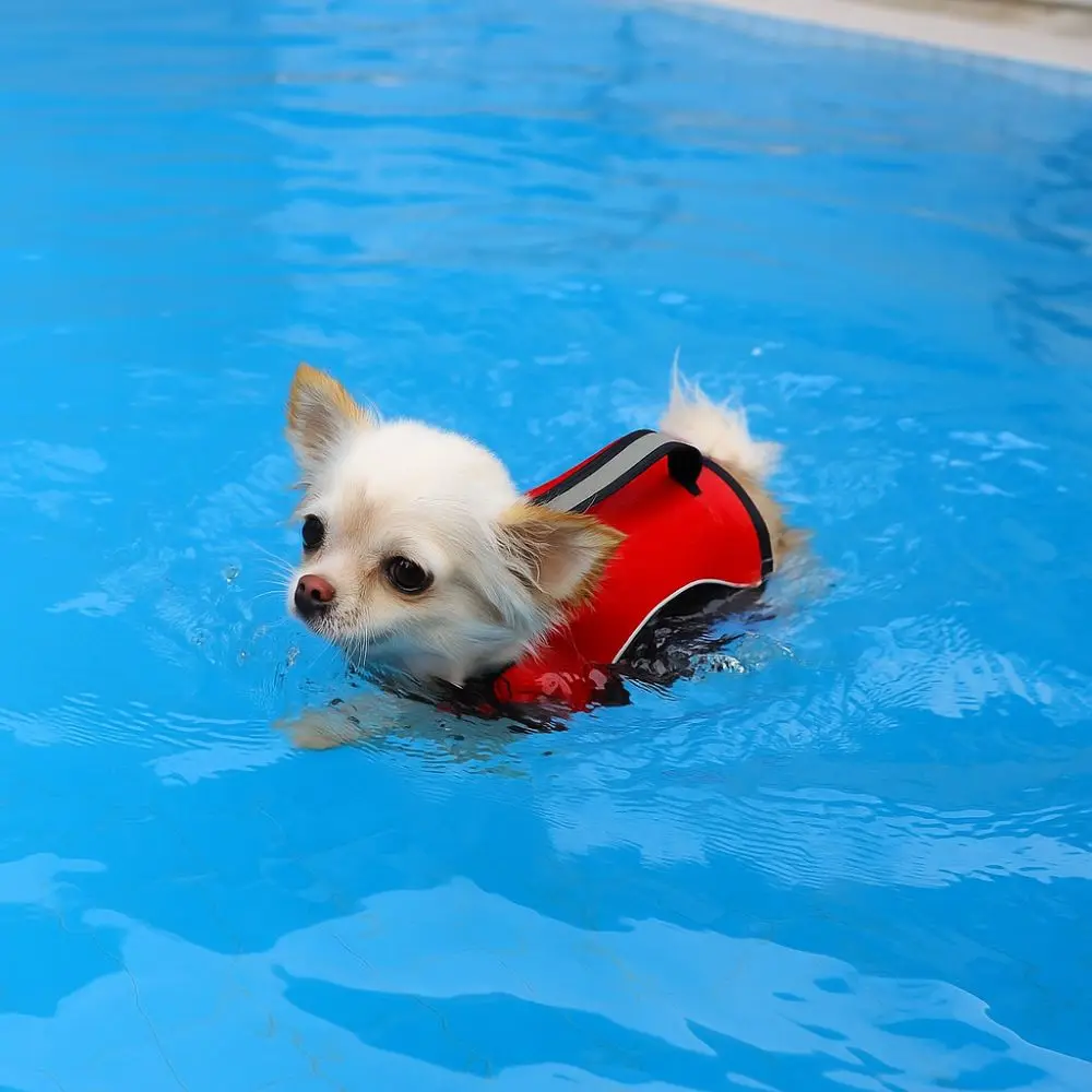 Life Jacket High Flotation 2