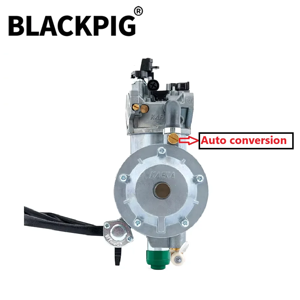 5KW 8KW EG6500 188F 190F 192F 발전기 LPG 기화기 발전기 부품 용 이중 연료 변환 키트 390cc/420cc 변위