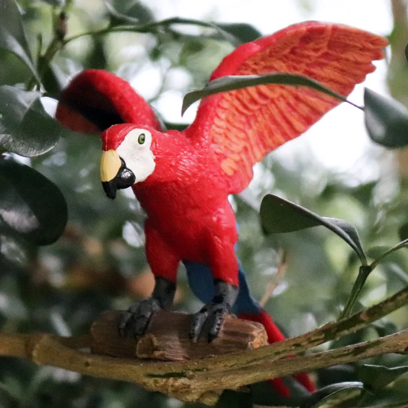 Oenux Original Wild Bird Animals Paradise Flamingos Macaw Sea Gull Pelican Owl Toucan Figurines PVC Action Figure Miniature Toy. 