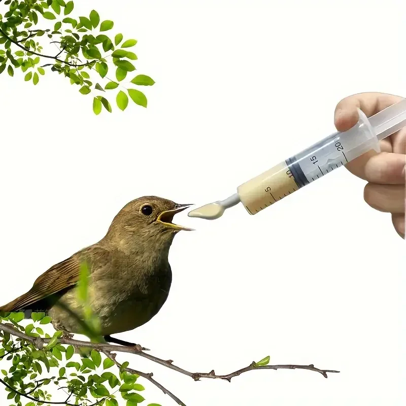 Plastic feeding tube for precise feeding of birds and small animals needle free design safe and comfortable to use 4pcs