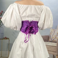 Corset vintage en satin pour femmes, ceinture amincissante, vêtement amincissant, bustier à la mode 2