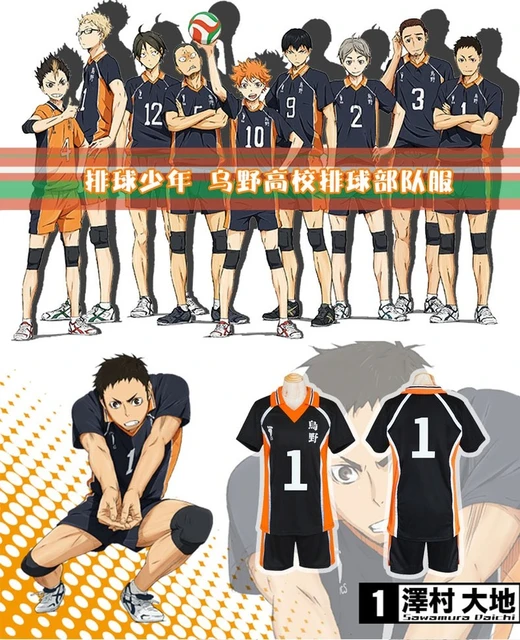 Placa Decorativa Anime Haikyuu Time Karazuno