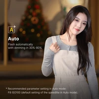 Ulanzi F12 Mini Camera Flash Speedlite GN12 LCD Standard Hot Shoe Mount for Sony Canon Nikon Panasonic Olympus DSLR Camera 5