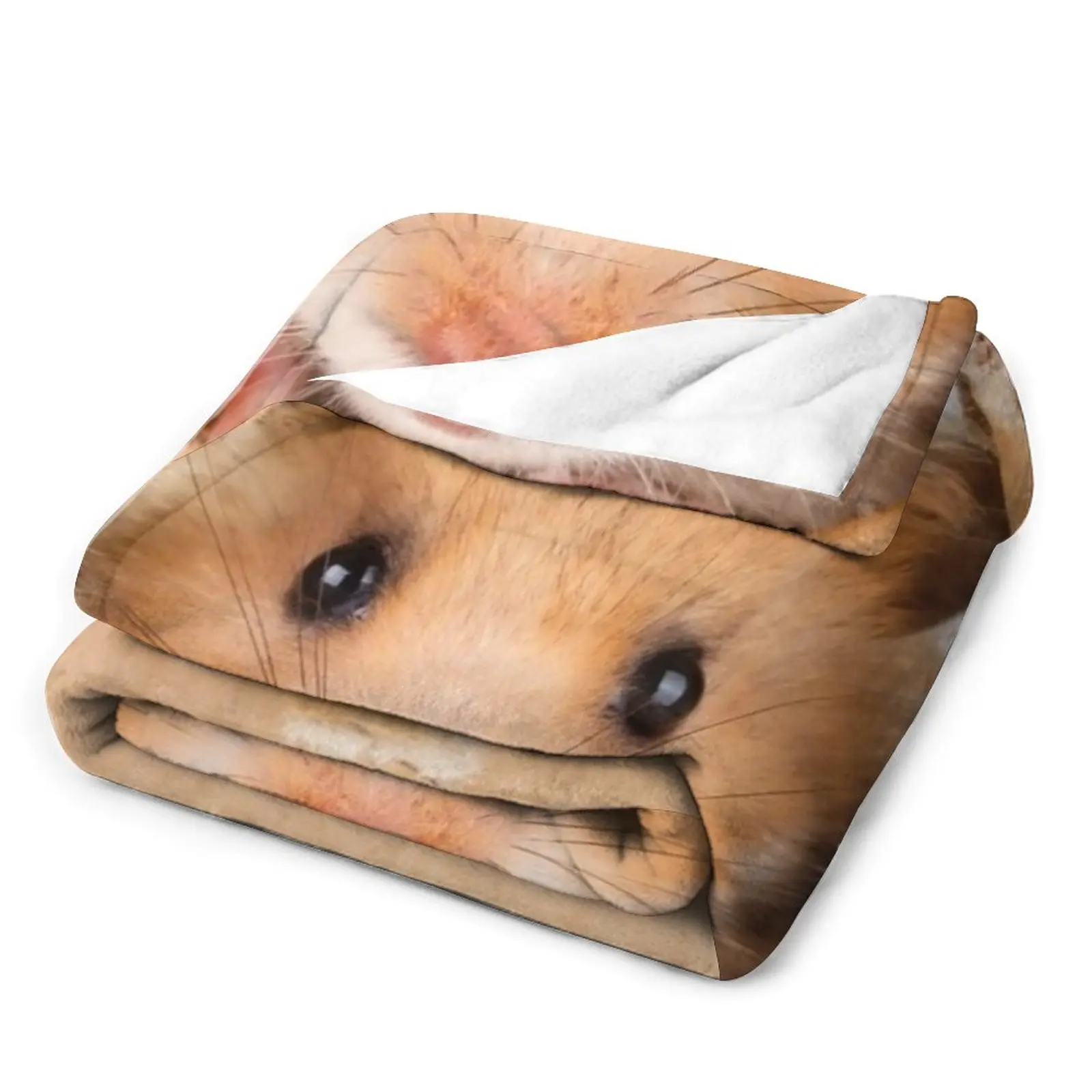 �Ϳ��� �ܽ��� ������ ���, ���Ŀ� �� ���, �� ���� �ö��� ���