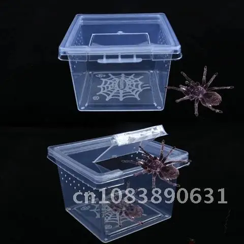 Acrylic Reptile Cage Hatching Container Rearing Tank for Lizards Terrarium Tortoise Spider Beetle Insect House 1pcs Feeding Box