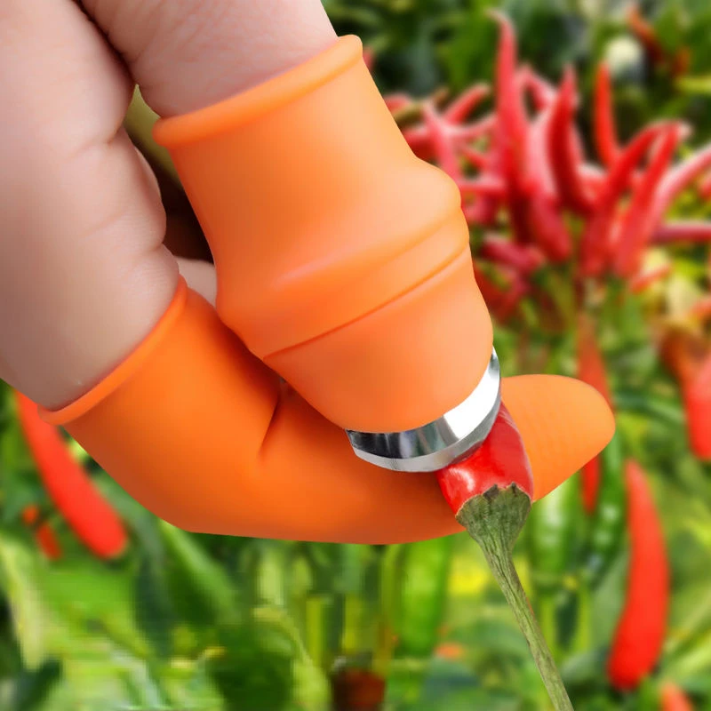 PickingVegetablesArtifactThumbProtectiveSleeveThumbPicking