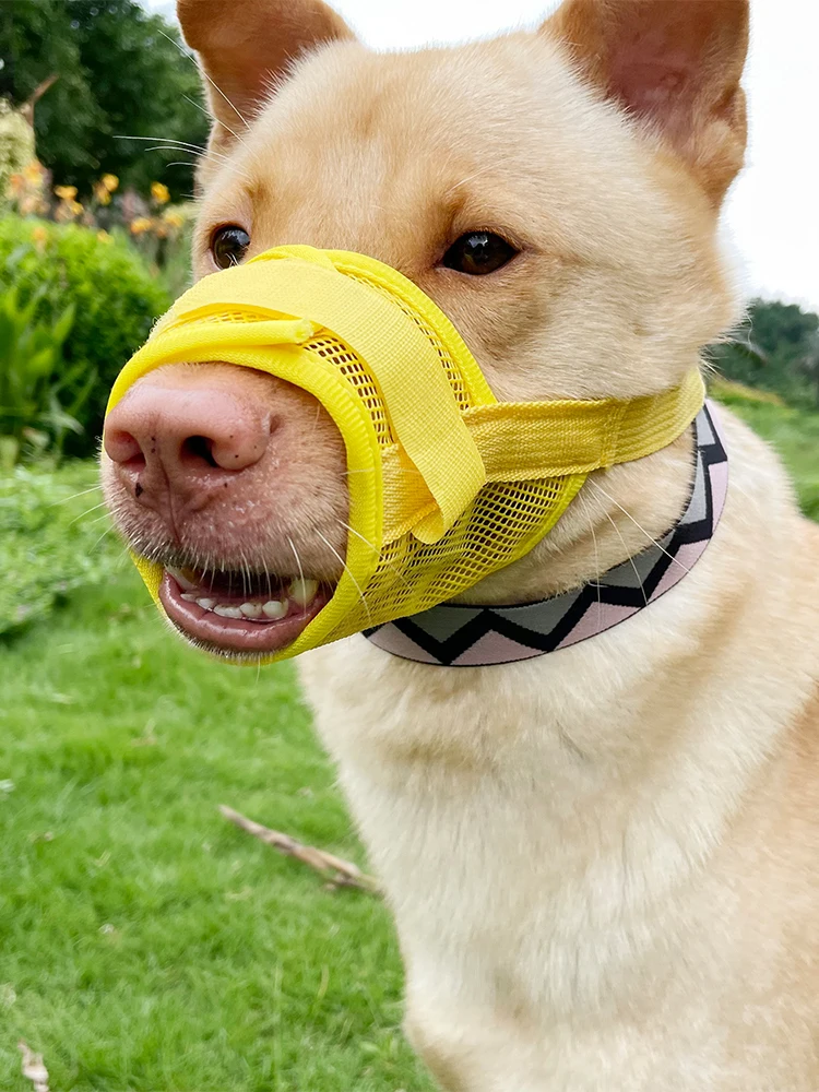 Adjustable No-Bite Dog Muzzle 6