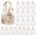 20pcs