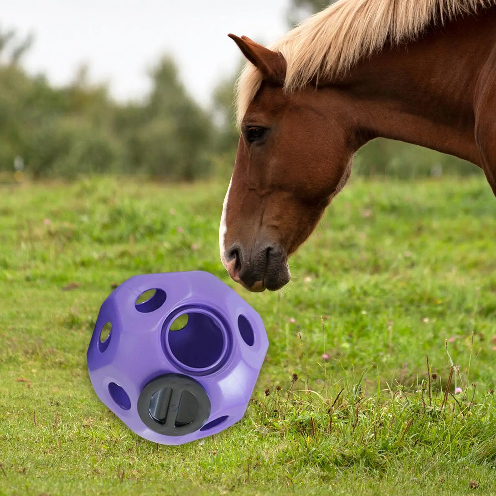 Fun 15 7  Horse Treat Ball Horse Toys Feed Ball Feeding Toy Multipurpose 4