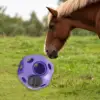 Fun 15 7  Horse Treat Ball Horse Toys Feed Ball Feeding Toy Multipurpose 4