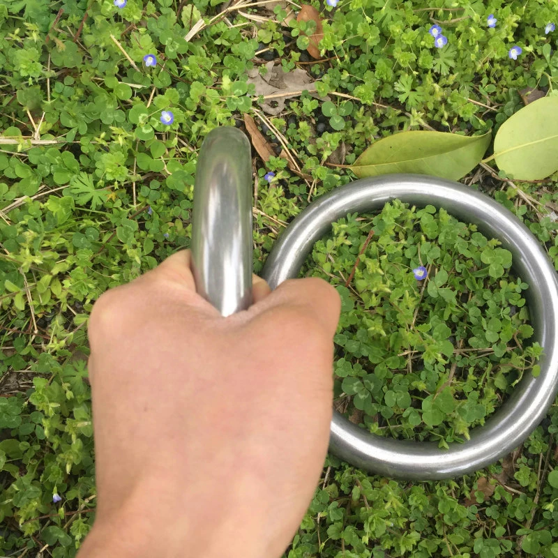 2Pcs DIA Metal Gymnastic Rings Iron Carabiner Thick Portable Fitness Gym Shoulder Strenght Exercise Pull Up Training