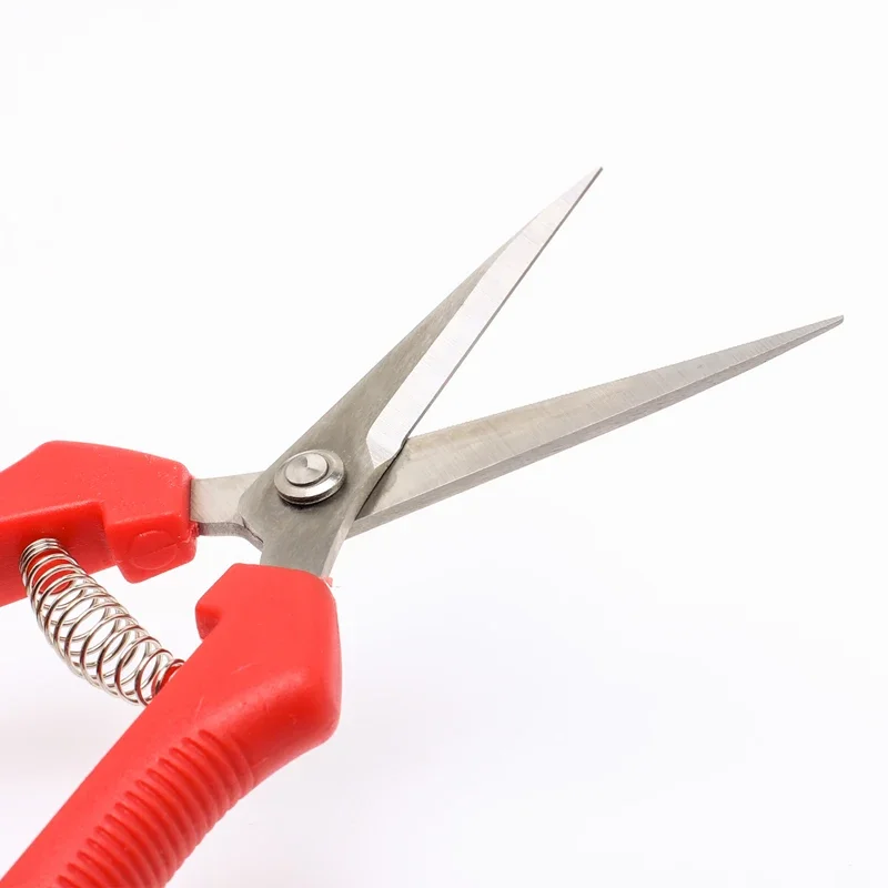 Sharp Stainless Steel Pruning Shears 5