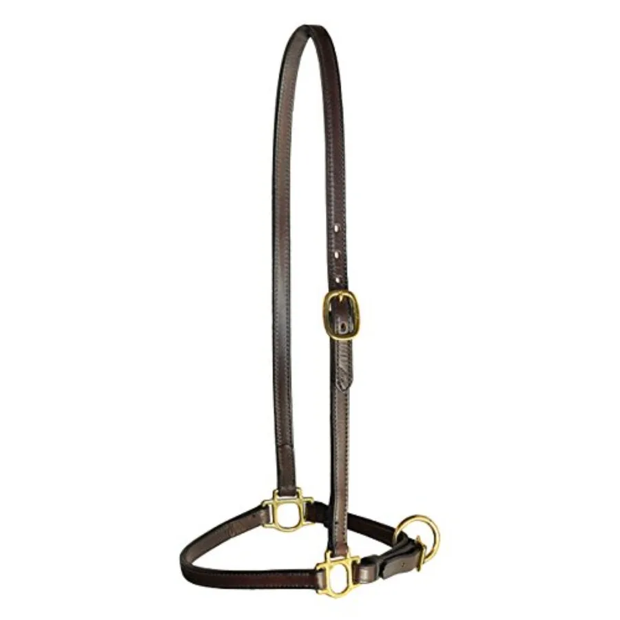 3/4 Grooming Bridle Leather Halter for horse training premium bridle leather black durable and adjustable with solid brass hard