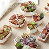Flower Pot Tray 10 Style Bamboo Decorative Tray Wood Flower Pot Tray Creative Gardening Supply Simple Design Holder Home Decor 3
